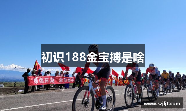 初识188金宝搏是啥